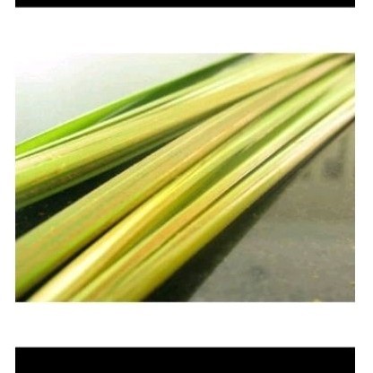 

Daun klapa muda 30 pcs' daun janur kuning