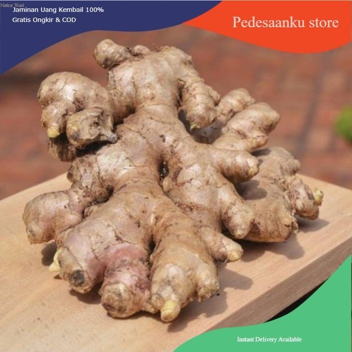 

jahe putih/jahe gajah 200 gram