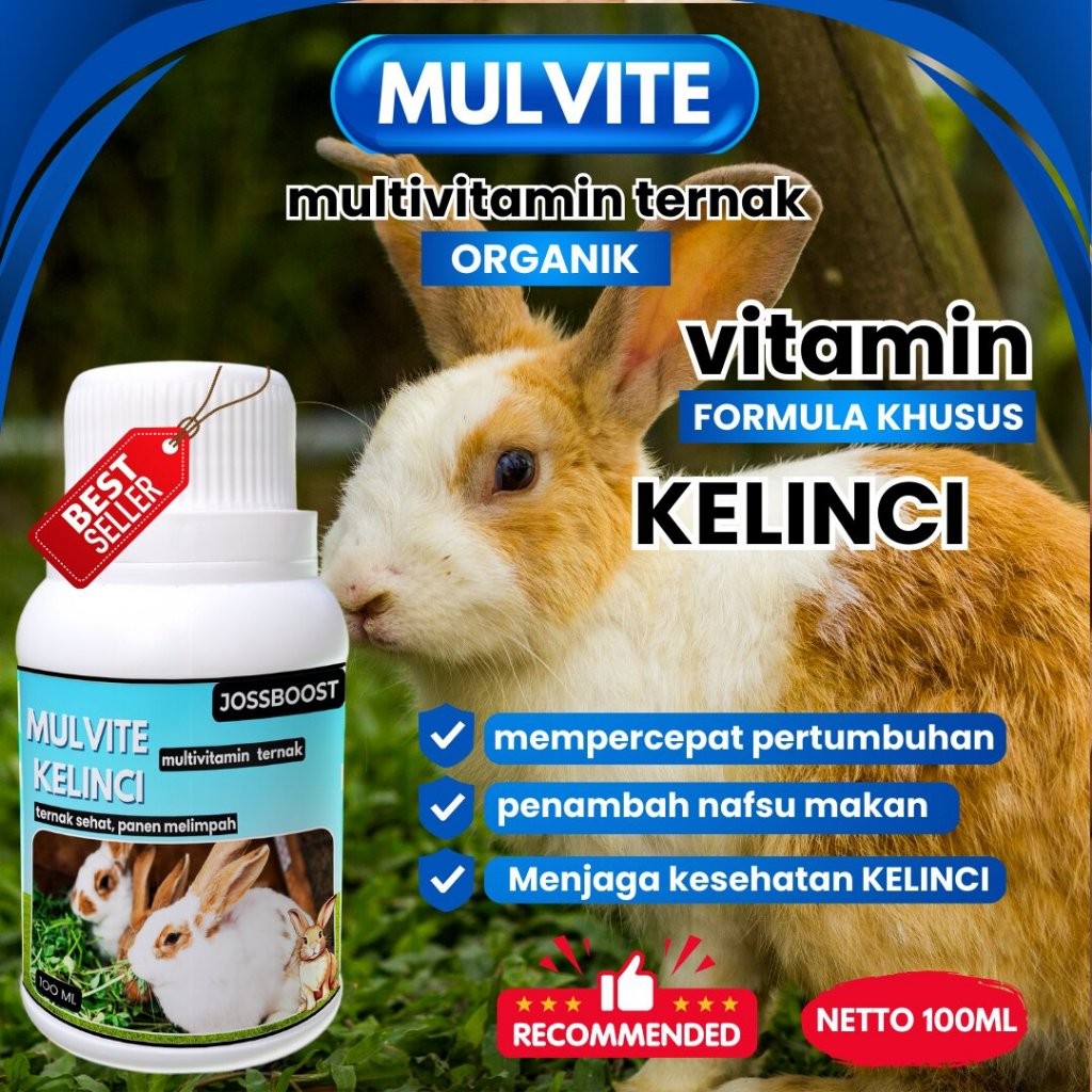MULVITE Vitamin Probiotik Vitamin Suplemen Kelinci Hias Anggora Fuzzy Lop Holland Netherland Dwarf K