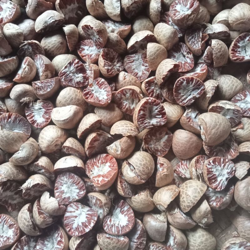 

bisa cod Pinang tua /Biji pinang belah dua 1 kg SL