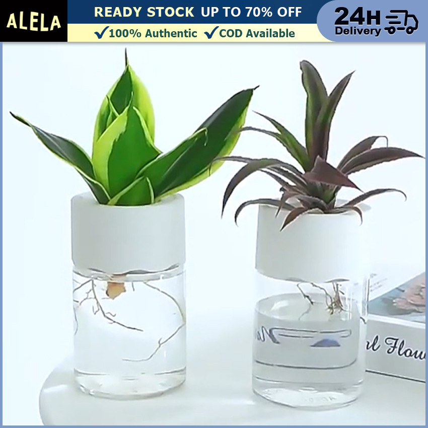 Pot Hidroponik Self Watering Plastik Bening Vas Bunga Vas Tanaman Air Estetik