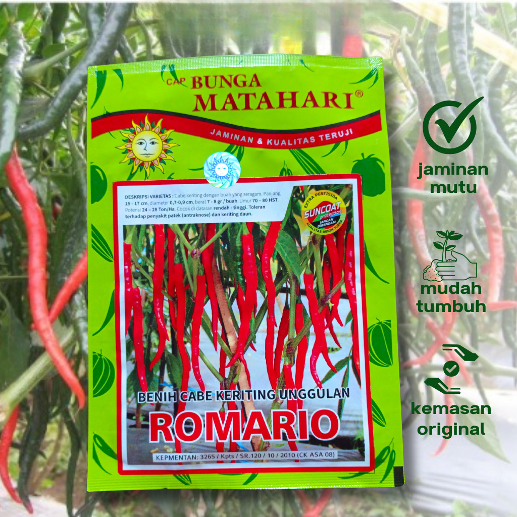 Benih Cabe Keriting ROMARIO 10 gram Biji Bibit Cap Bunga Matahari Lebat Tahan Patek