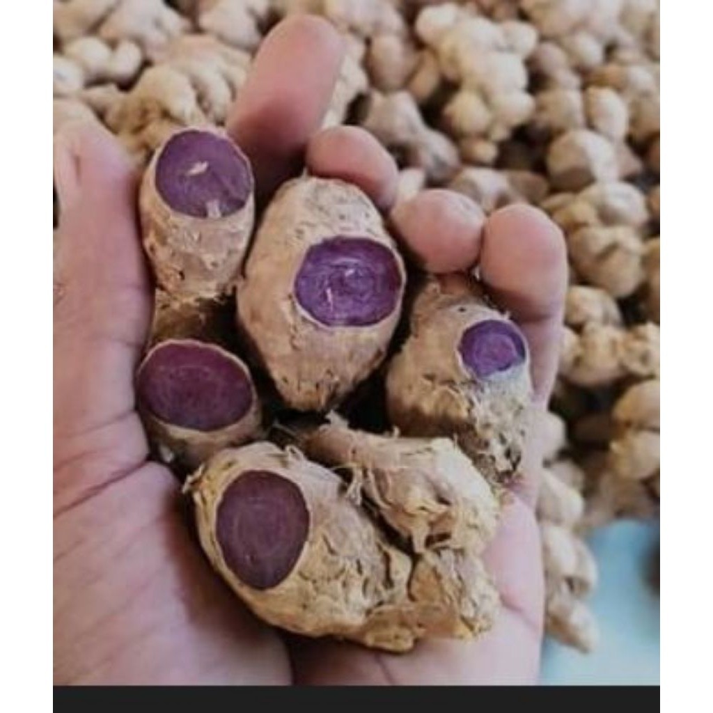 

kunyit hitam asli original 250gr WN