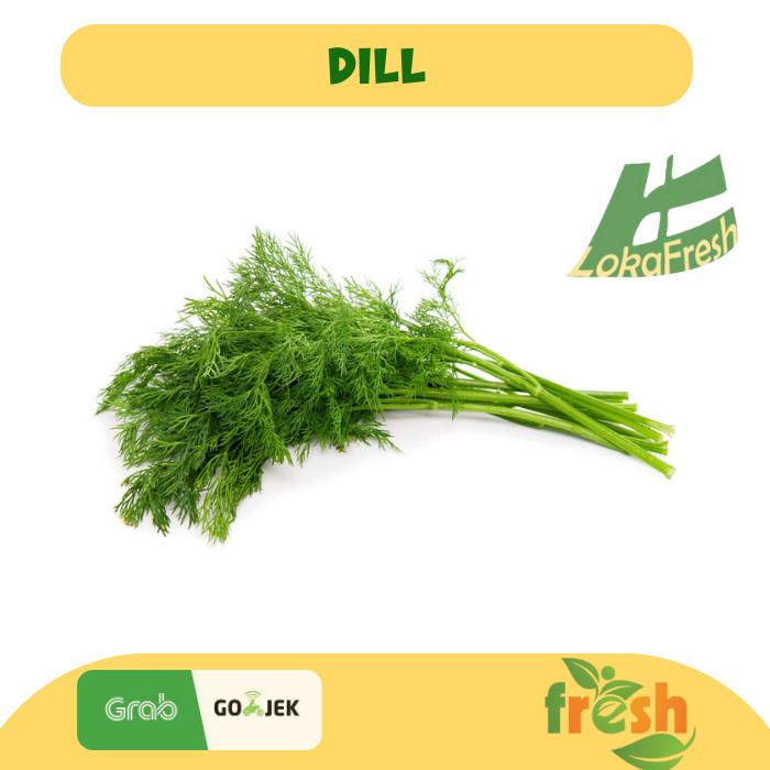 

Dill Fresh 100gr / Daun Dill Herb