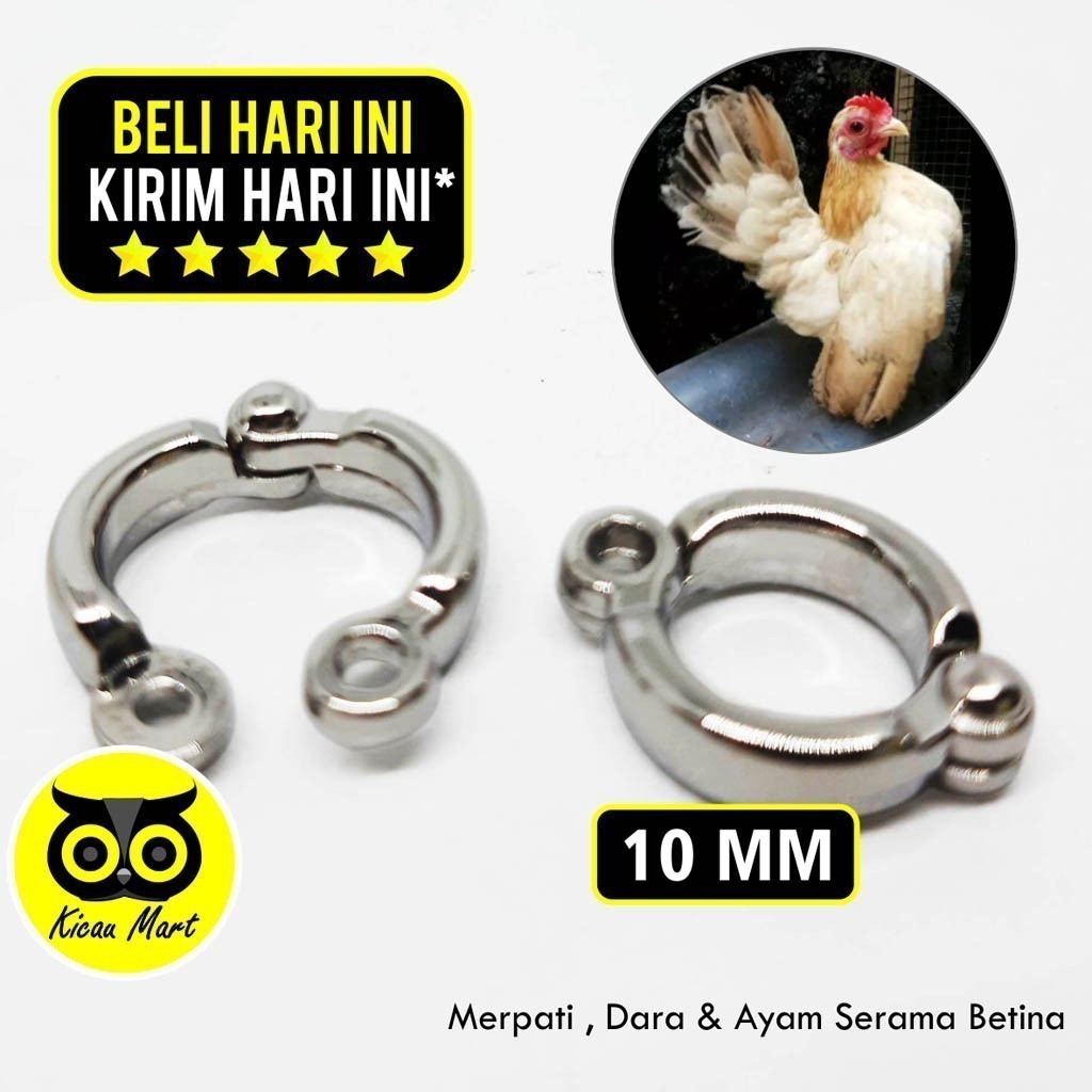 KICAU MART RING KAKI BURUNG STAINLESS STEEL IMPORT 10 MM RING GELANG KAKI BURUNG AYAM SERAMA BETINA 