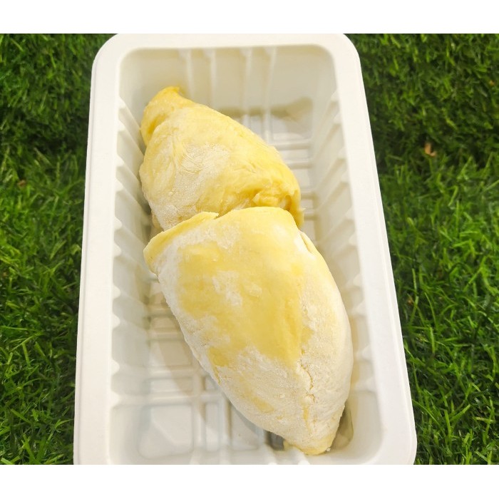 

Durian Monthong Palu Grade A Kualitas Terbaik Good Durian Montong Palu - PREMIUM 250 Gr