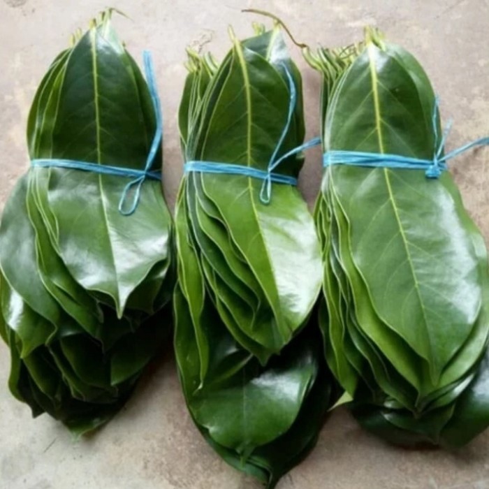

Daun sirsak tua segar 100 lembar /obat tradisional