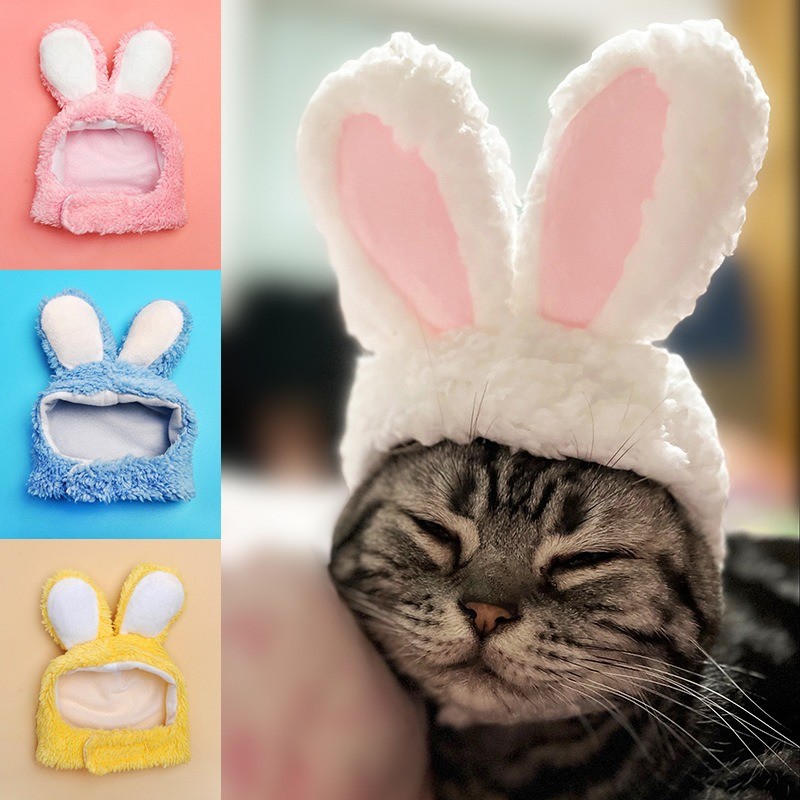 Cat rabbit head suit dog Teddy bear turned into headwear Garfield cat rabbit ears Internet celebrity