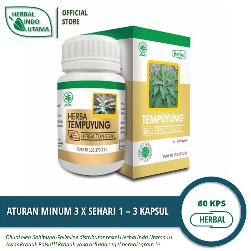 COD HIU Tempuyung Obat Herbal Saluran Kencing, Batu Ginjal, Batu Empedu