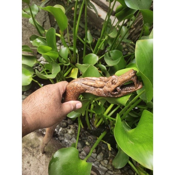 MAKRIFATBUSINESS Tongkat jalan  DEWADARU Ukir Naga / alat bantu jalan tongkat jalan ukir naga