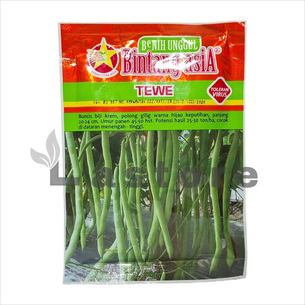 BENIH BUNCIS TEWE 100 GRAM - BINTANG ASIA