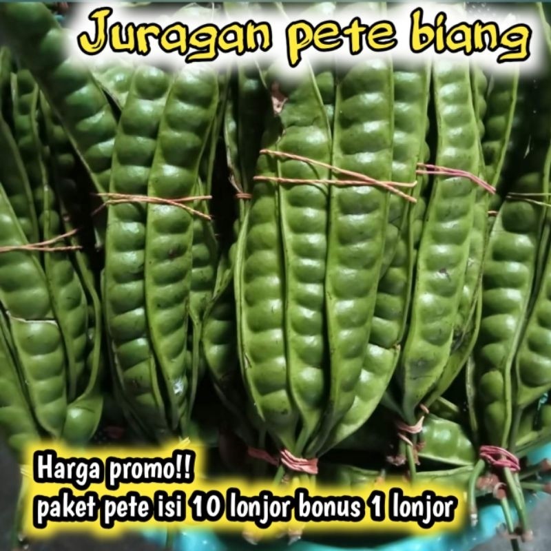 

TEBUS MURAH PROMO PETE MURAH HARGA PERIKAT ISI 10 LONJOR GRATIS BONUS 1 LONJOR /PETE TUA/PETE SEGAR/PETE/PETAI