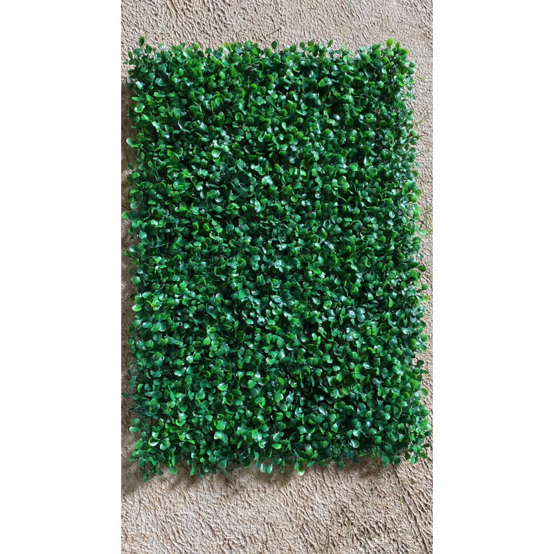 GROSIR DAUN SINTETIS DOLAR PREMIUM - TANAMAN DOLAR SINTETIS