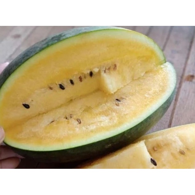 

Semangka Kuning / butir