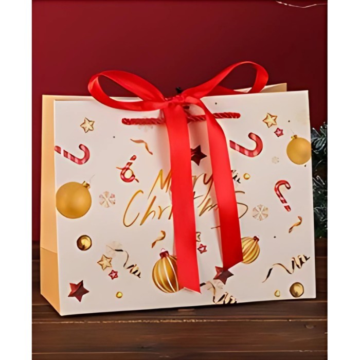 

Paper Bag Christmas Motif Horizontal Santa Rusa / Goodie Bag Natal / Tas Hampers Natal - H6, (M) 24x9x19