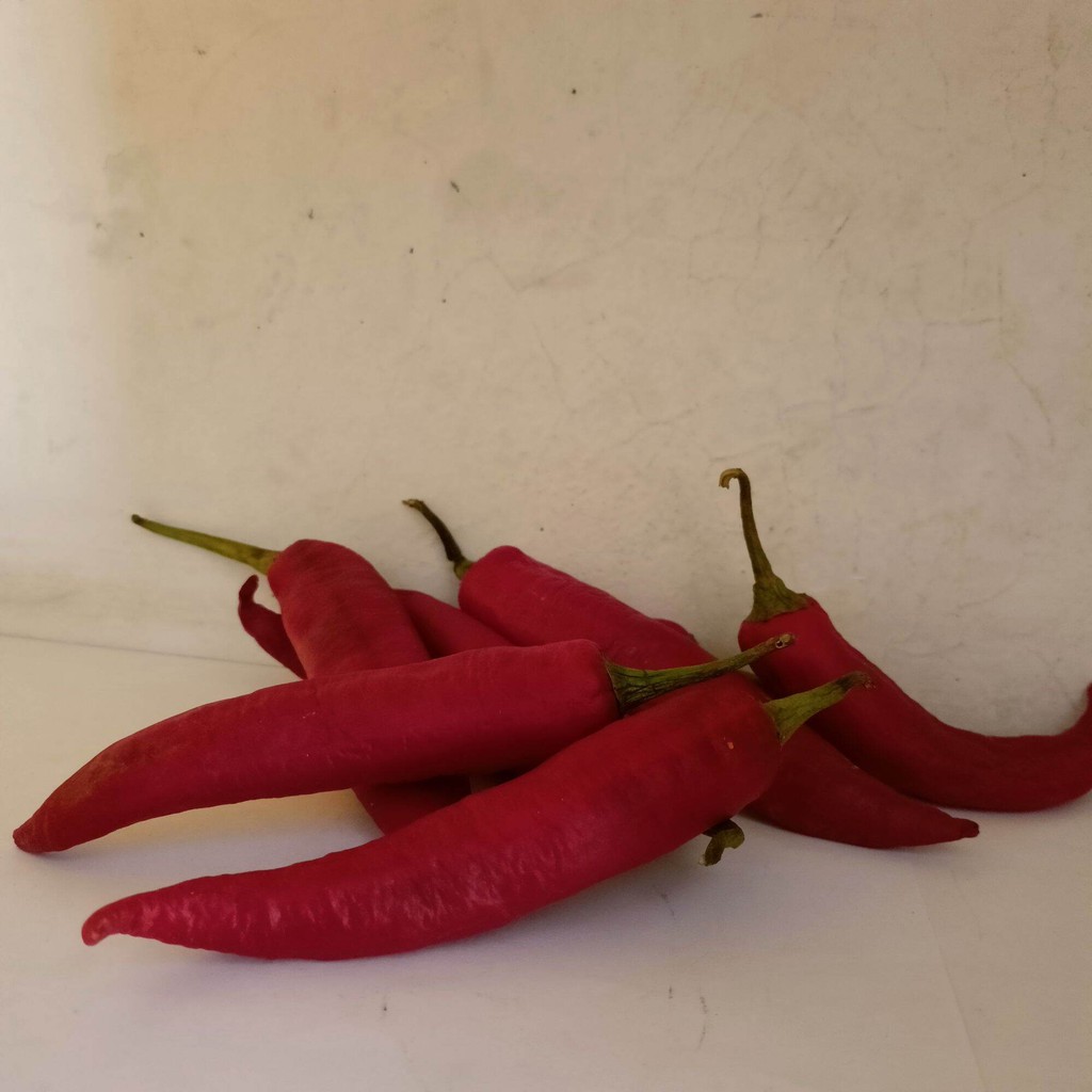 

Cabai merah sayur siap pakai untuk segala kebutuhan memasak dan menyambal sesuai klebutuhan masing masing