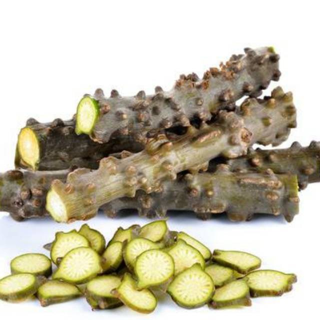 

JUAL Batrawali Batang Brotowali Patrawali Segar ( Bisa Juga Untuk Di Tanam) .