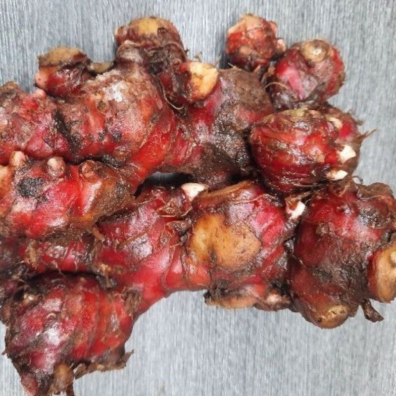 

JAHE MERAH FRES BERSIH 1 KG ADN
