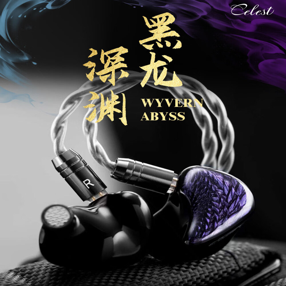 Kinera Celest HIFI Wired Headphones with Microphone IEM Stereo Bass Music Earphone Wyvern Black Audi