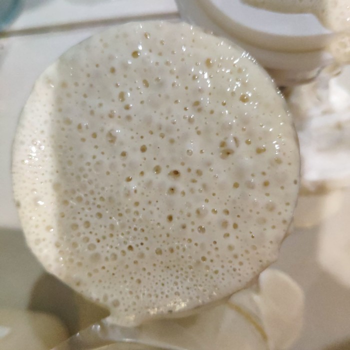 

SOURDOUGH STARTER / RAGI ALAMI
