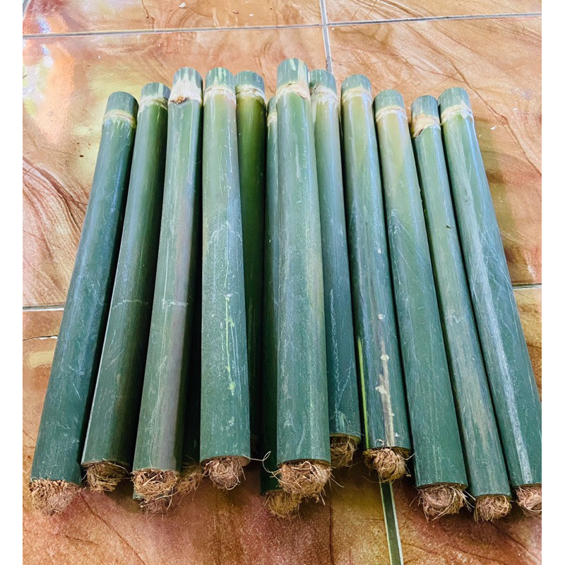 Obor bambu tradisional obor penerangan jadul