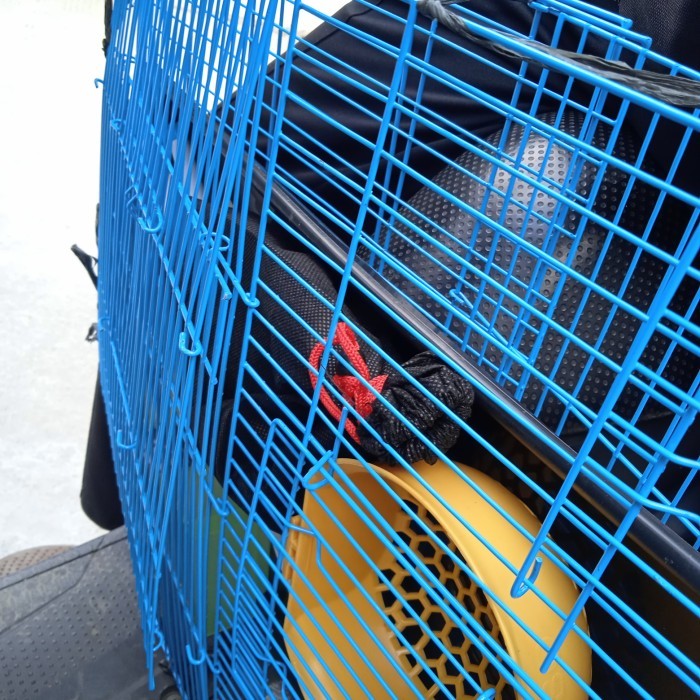 SALE -paket sugar glider mozaik+kandang