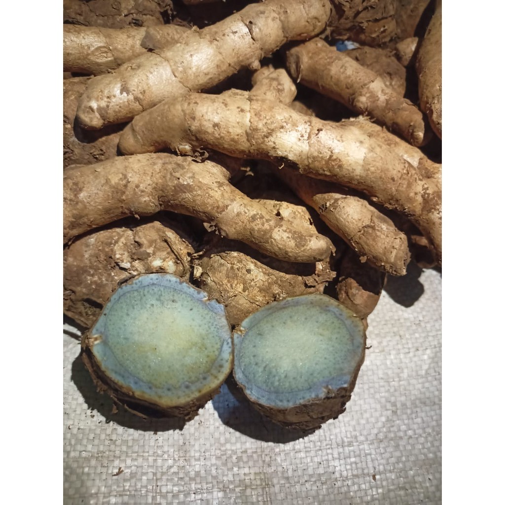 

TEMU IRENG SUPER 1 KG SEGAR ALAMI TUA (COD)