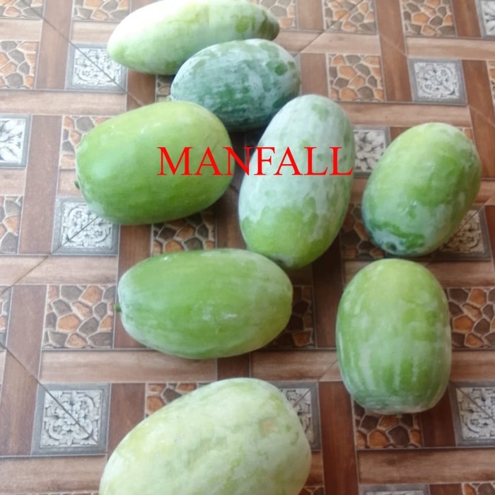 buah bligo buah kundur beligo obat herbal 1 kg