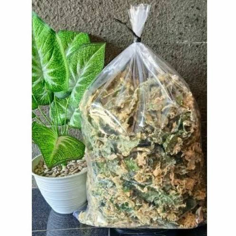 

1 BAL (2 KG) KERIPIK BAYAM CRISPY (ORIGINAL / PEDAS)