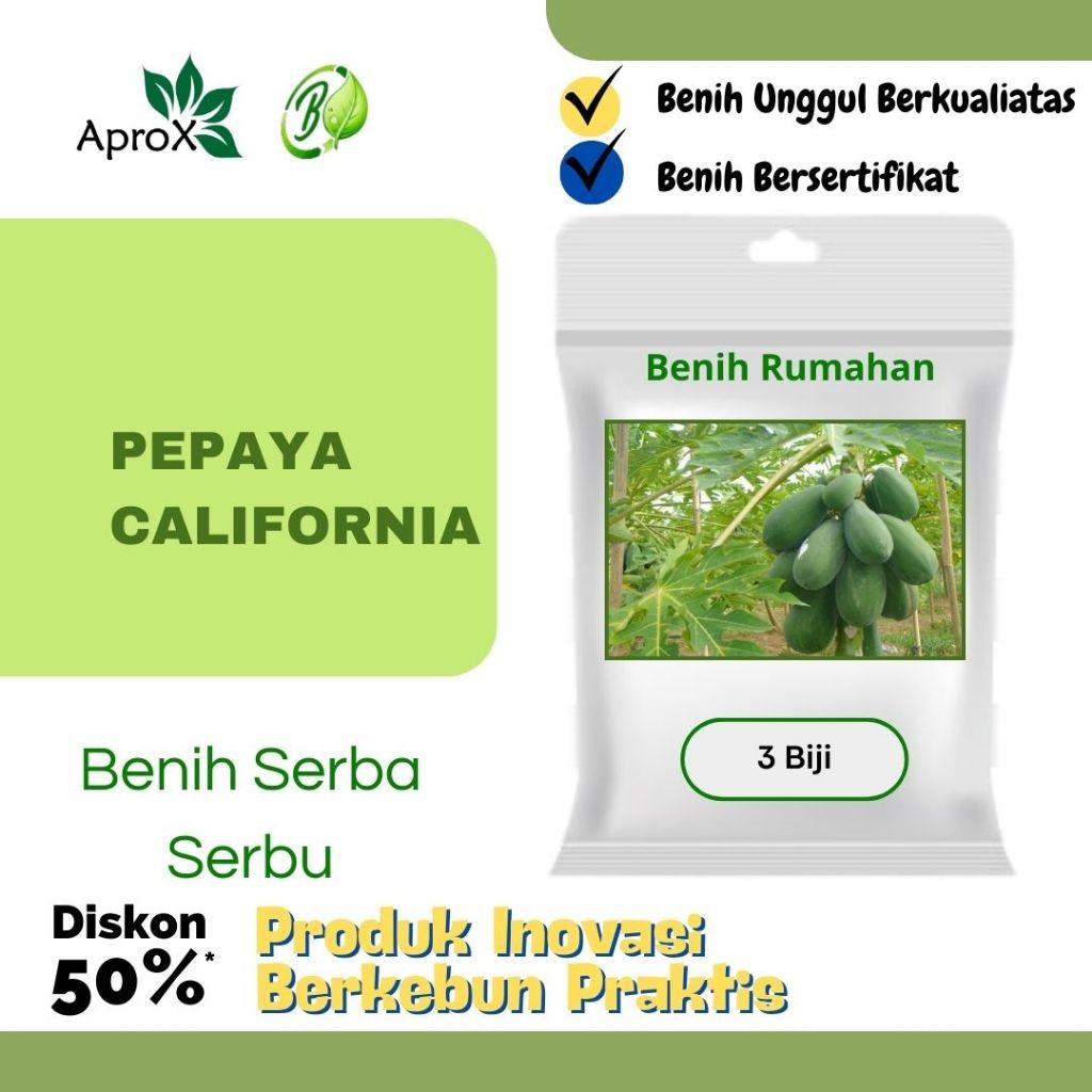 Benih Pepaya California Kalifornia Madu Buah Pepaya Kates California Unggul Kalifornia Hidroponik Bi