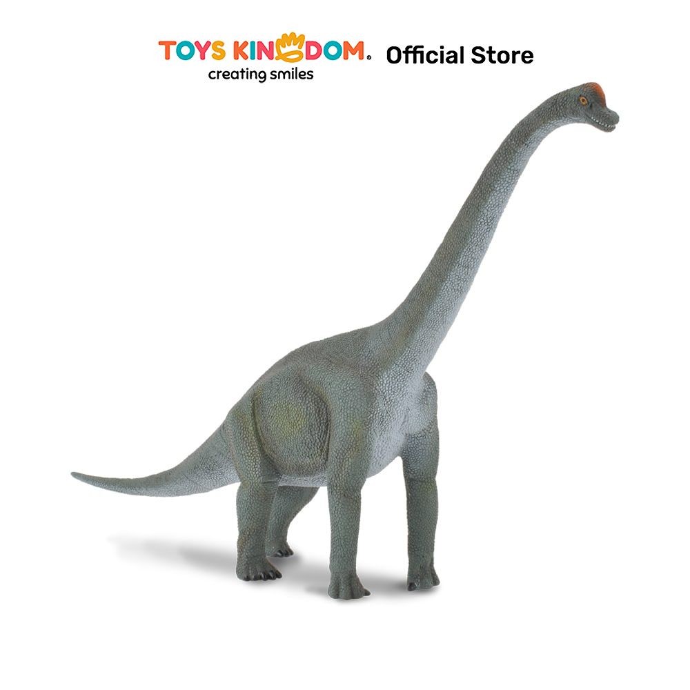 Toys Kingdom Collecta Figure Brachiosaurus 88121 Toys Kids Toy Minifigur Miniatur Hewan Figure Hewan