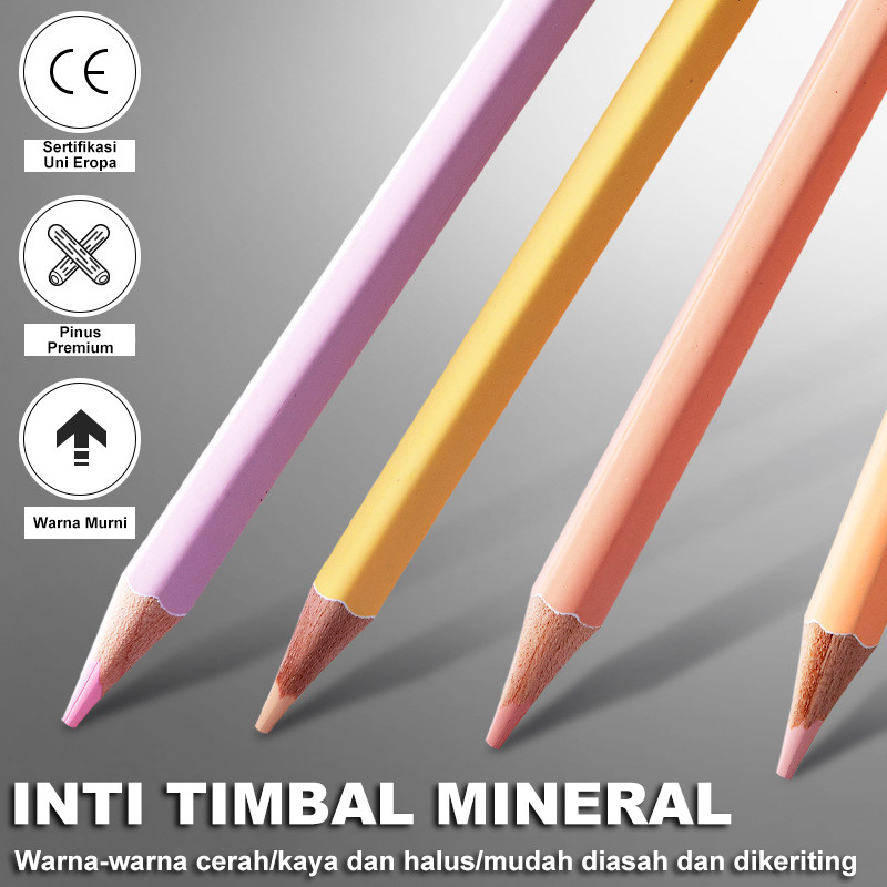 

RB Oil Pencil 24/36/48 Warna Morandi High Grade/Pencil Color