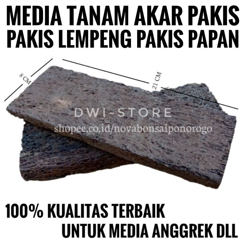 Media Pakis Lempeng / Media Anggrek / Pakis Kotak / Pakis Papan