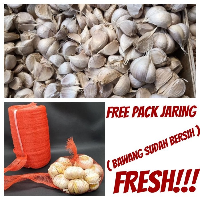 

Bawang Putih Kating 1KG Import Kualitas Super