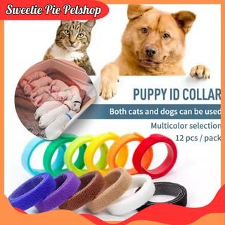 INSTAN sweetiepie KALUNG IDENTITAS kalung kitten kalung puppy Isi 12pcs - Kalung Bayi Kucing Anjing 