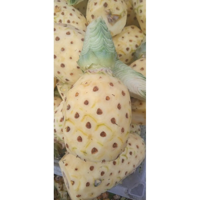

Nanas palembang kupas isi 3