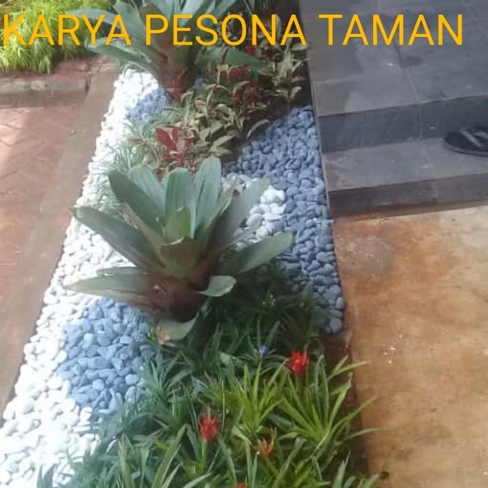 jasa tukang taman minimalis depok / paket bikin taman murah