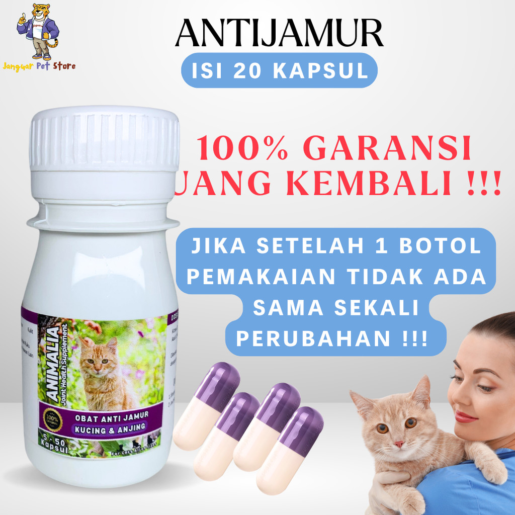OBAT JAMUR KUCING ANJING KAPSUL AMPUH SCABIES GATAL KITTEN ADULT