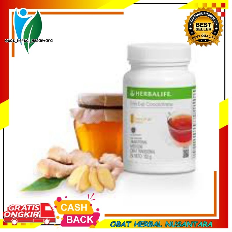 HERBALIFE TEA CONCENTRA TE HOMEY GINGER THEMO PELANGSING BADAN ASLI ORIGINAL Green Tea Teh Pelangsin