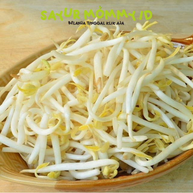 

Tauge Panjang 250 gram - 1 kg Sidoarjo
