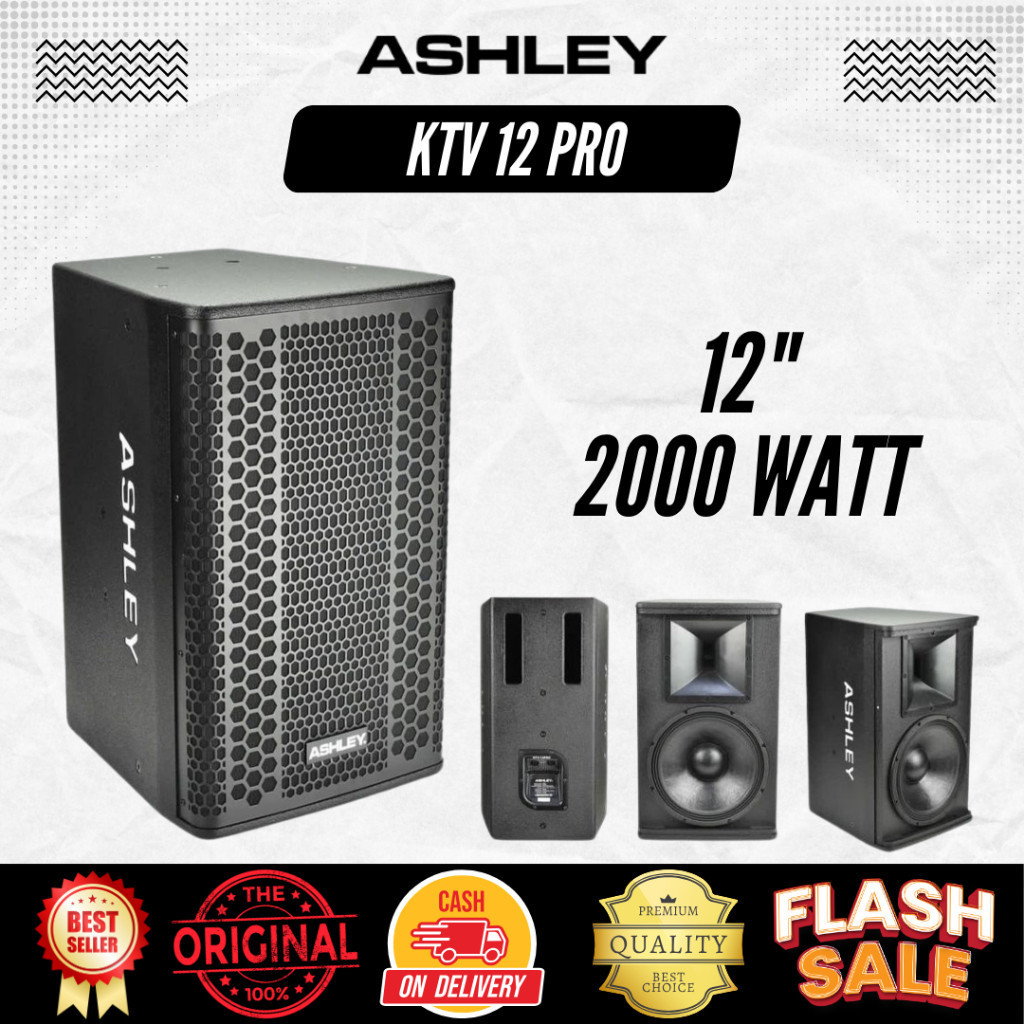 Speaker Pasif 12 Inchi Ashley KTV 12 Pro