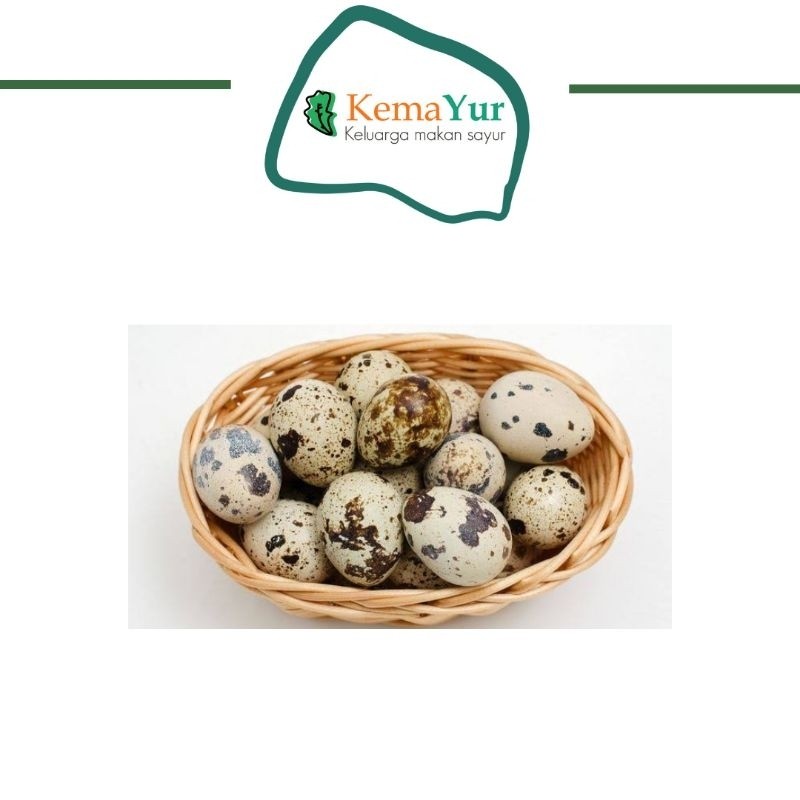 

TELUR PUYUH MENTAH 250GR