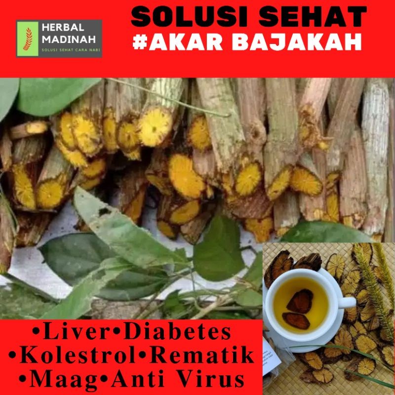 

akar bajakah bajakan bajaka kuning segar utuh