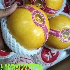 

BUAH PIR KOREA / PEAR KOREA ASLI UDBUAH 3 SAUDARA