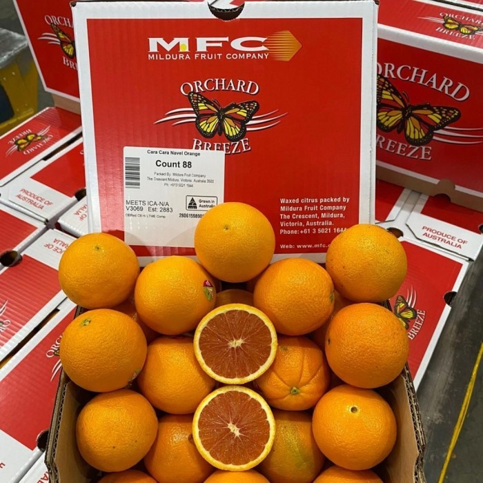 

jeruk sankis nevel cara -cara oranges manis per dus fresh infort