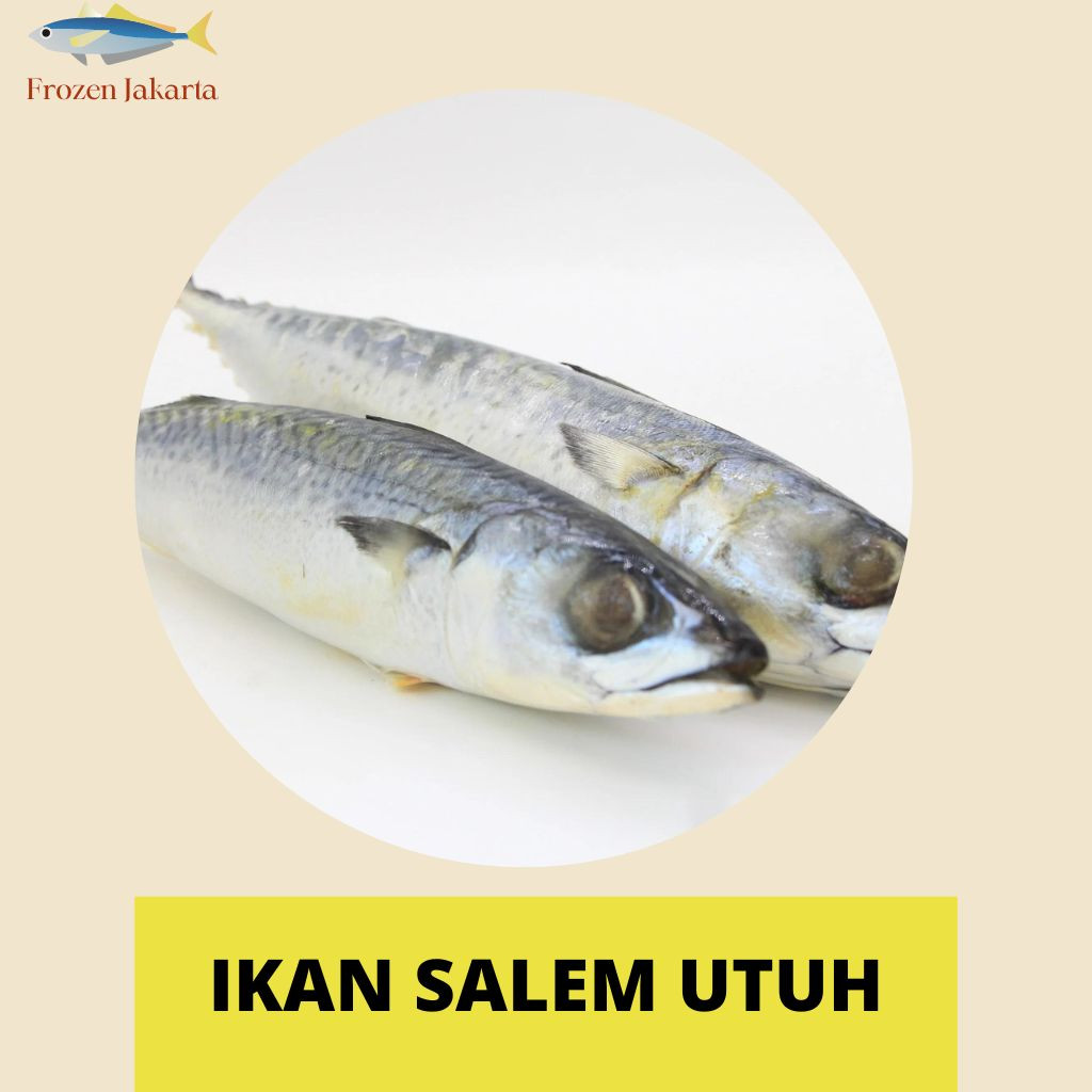 

Ikan Salem Utuh Kwan Frozen Beku Fresh