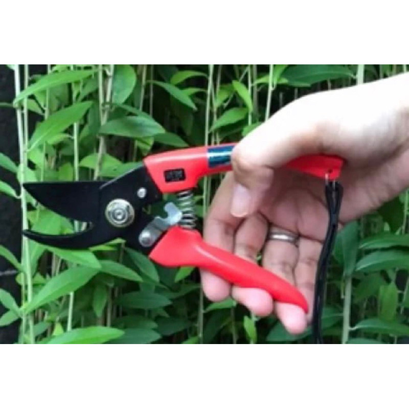 Gunting Dahan Ranting Rumput / Garden Shears Star Tiger 77 ukuran 7"
