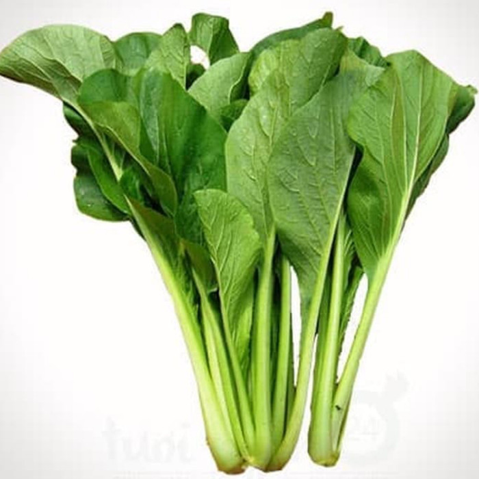 

sawi hijau sayur 1ikat BRKAH