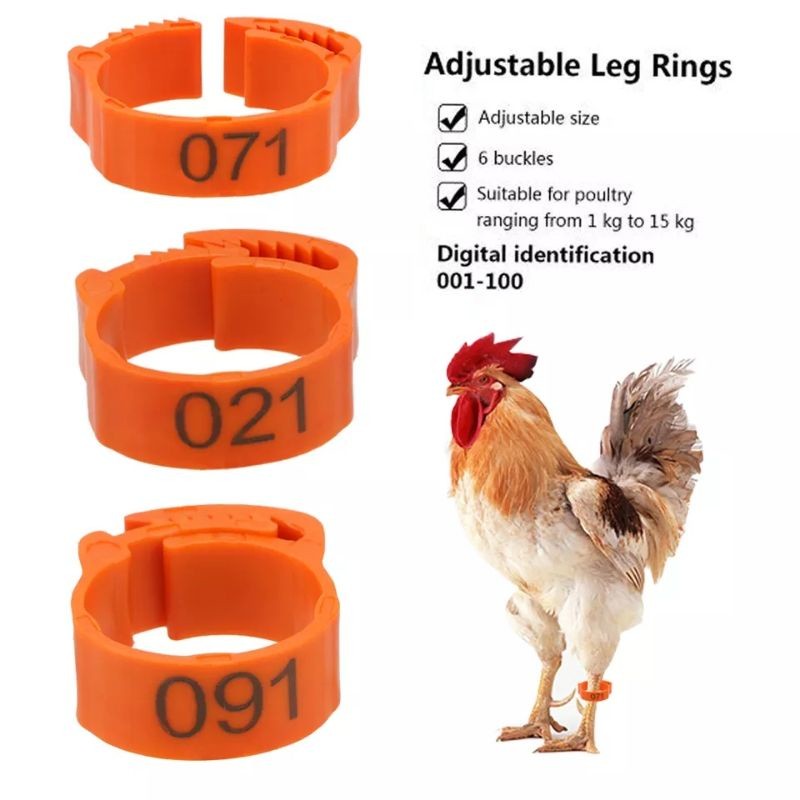 [Maestro] RING KAKI AYAM/gelang ayam SEGEL CINCIN BEBEK BISA DI ATUR BESAR KECIL DIAMETER