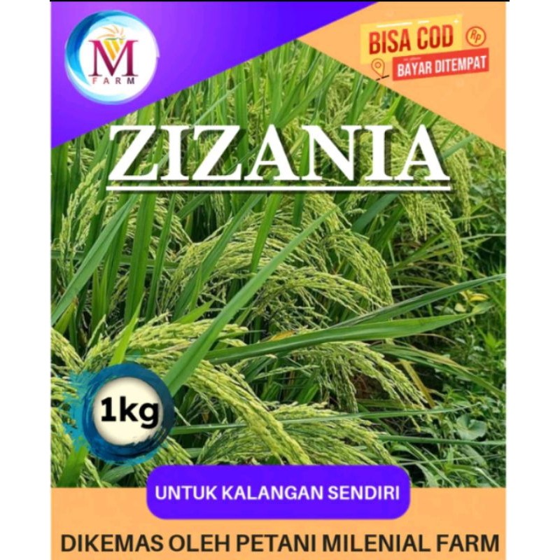 promo terlaris Benih bibit padi zizania kemasan 1kg bisa cod